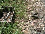 IMG-20260709-WA0077