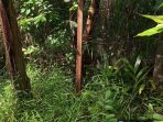 IMG-20260909-WA0094