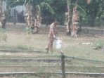 IMG-20260922-WA0102